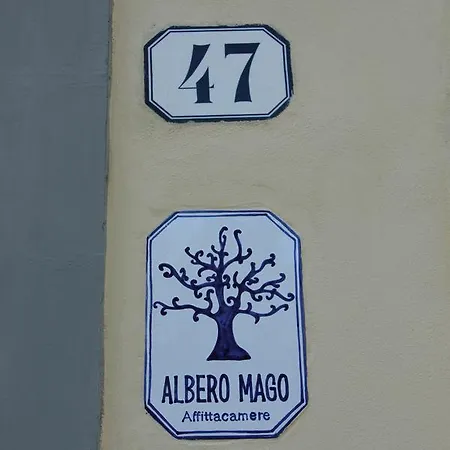 Guest house Albero Mago